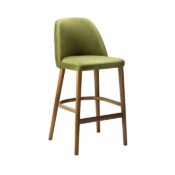 Colonge Bar Stool