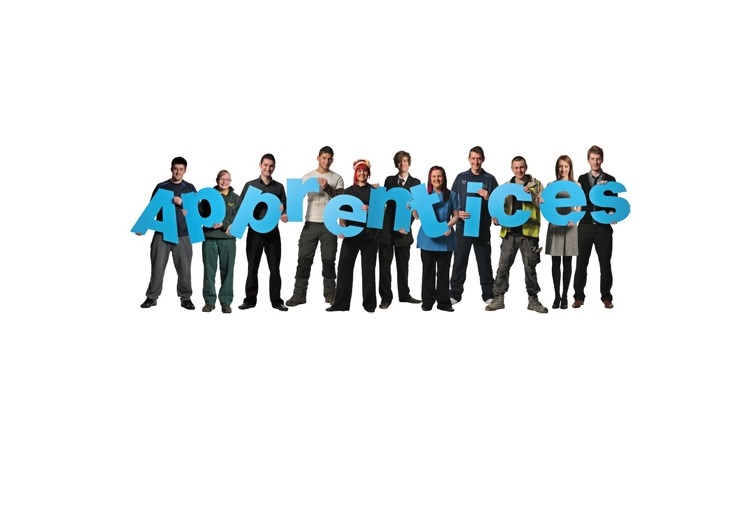 apprentices