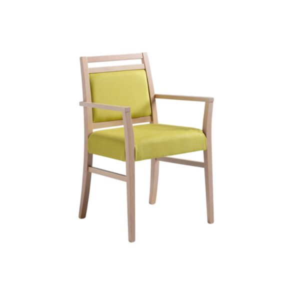 Lara C Upholstered Armchair