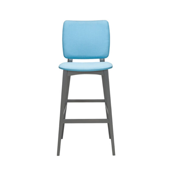 Zara Fully Uph Zara Fully Upholstered Side Chair